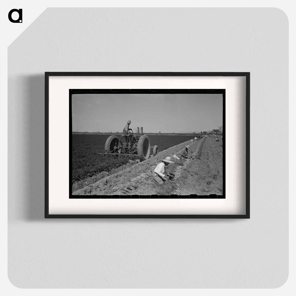 アートポスター-Carrot Harvest, Yuma County
- ラッセル リー Poster.