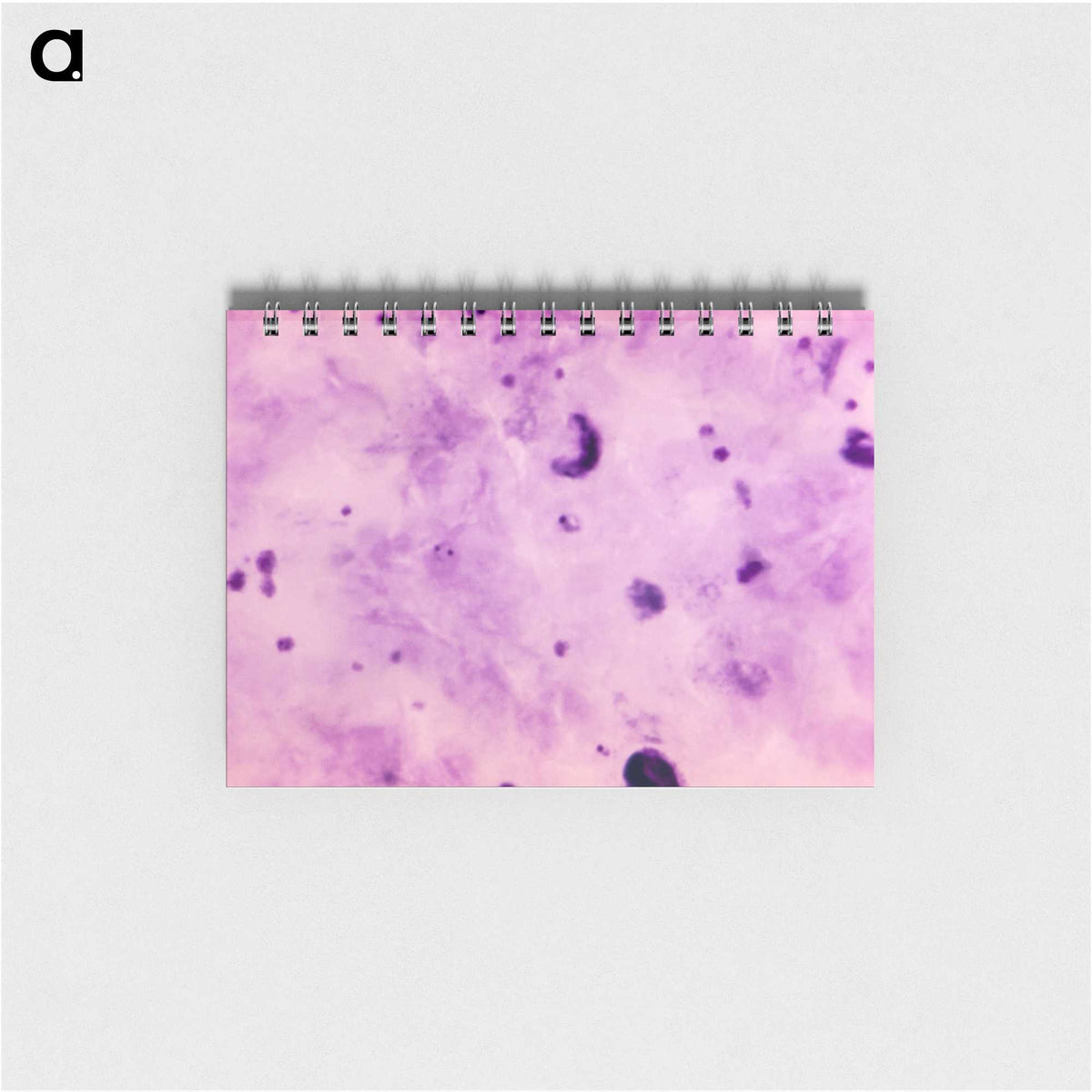 3-10_COVID-19_memo