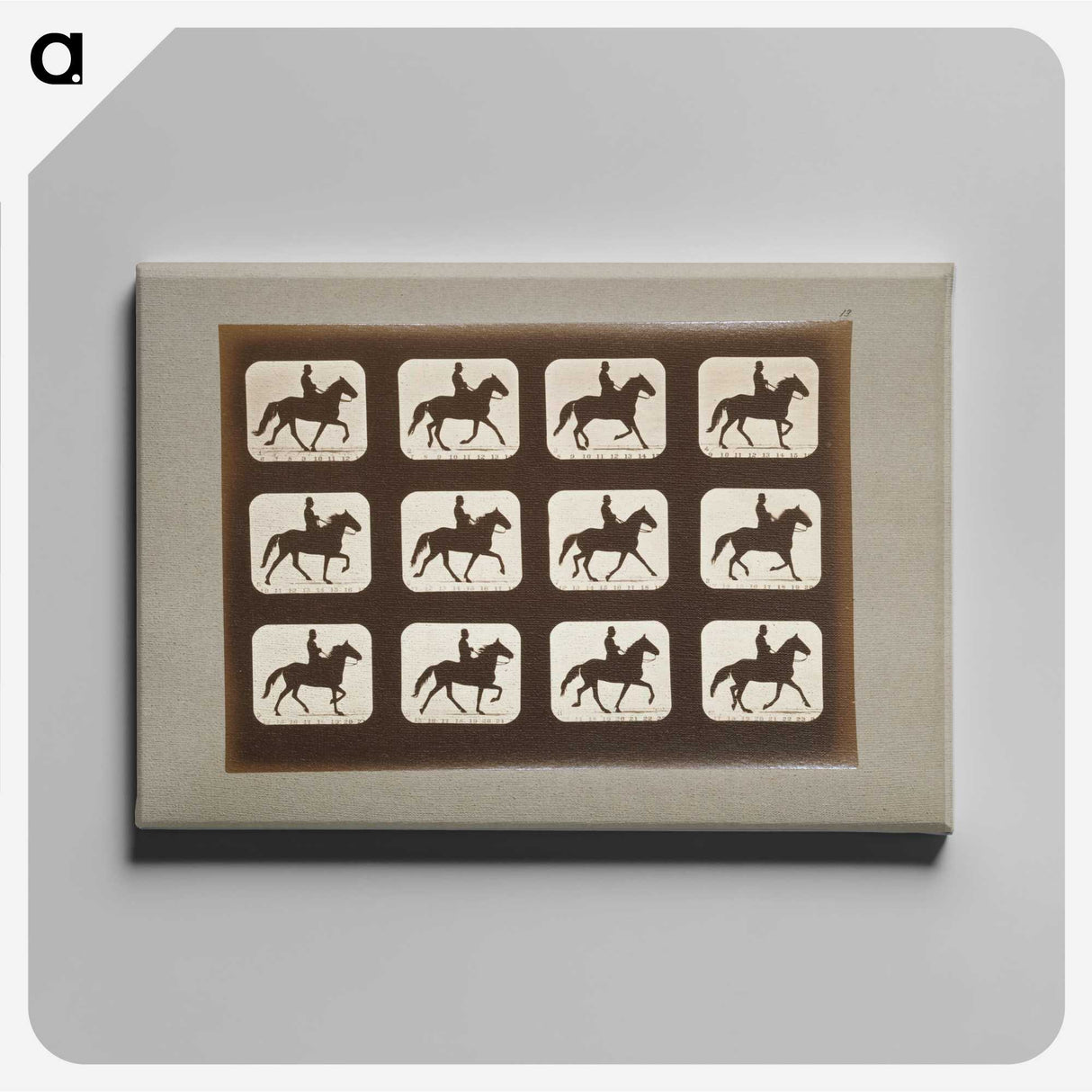 3-10_Eadweard-Muybridge_canvas