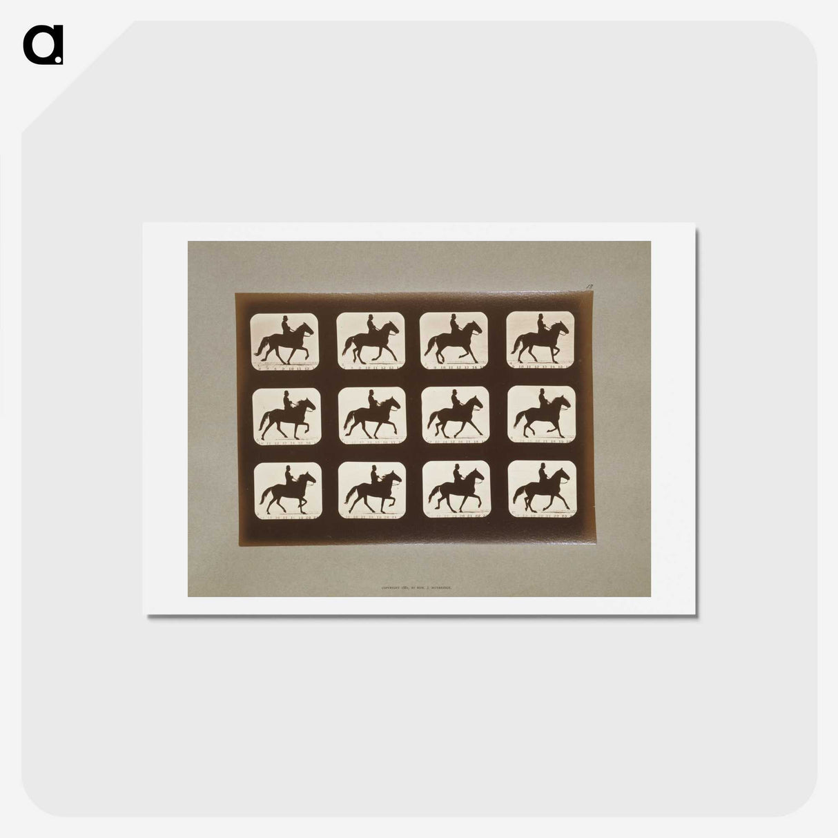 3-10_Eadweard-Muybridge_hagaki