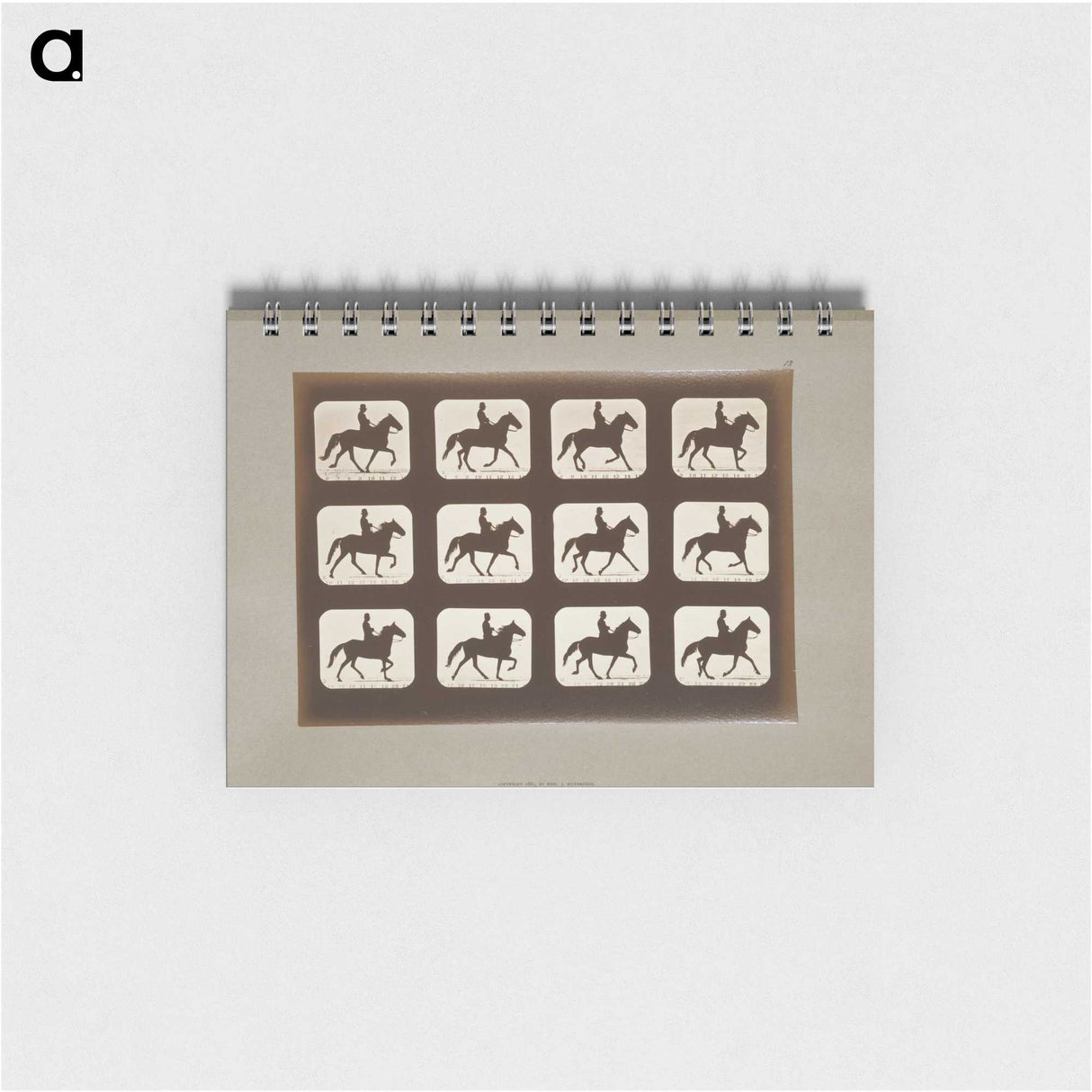 3-10_Eadweard-Muybridge_memo