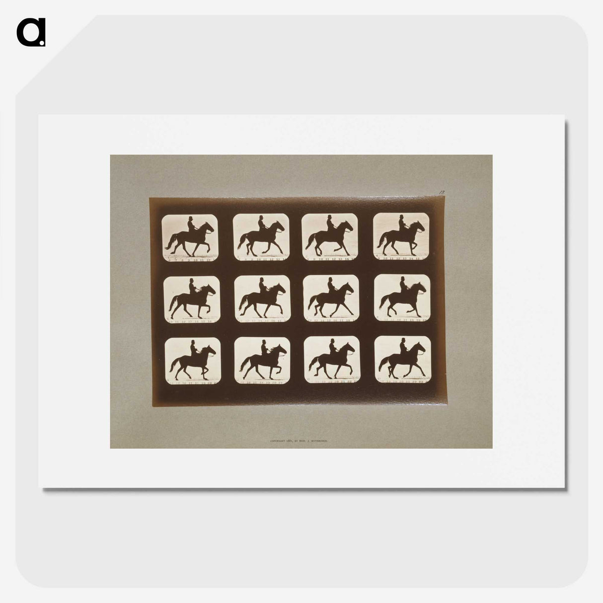 3-10_Eadweard-Muybridge_picture