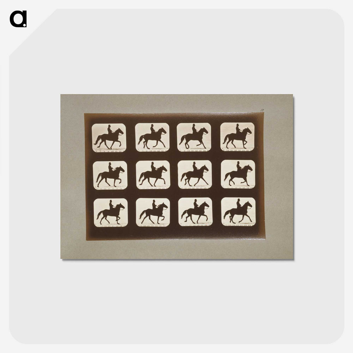 3-10_Eadweard-Muybridge_postcard