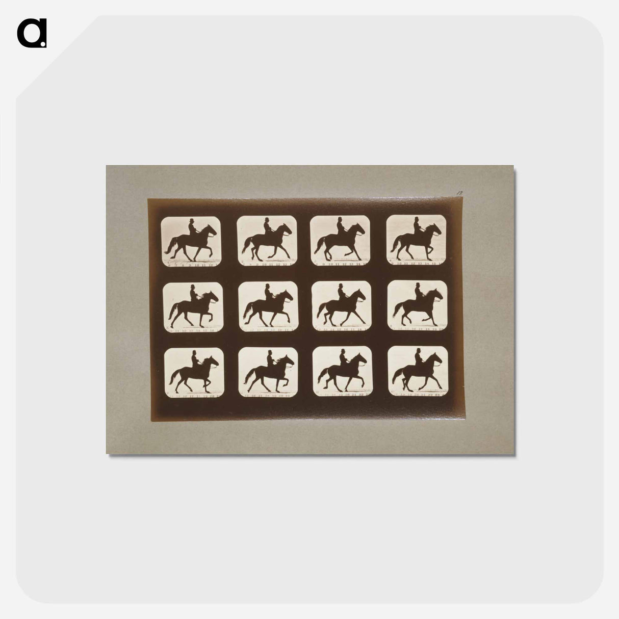アートポストカード-Horses Ambling
- エドワード マイブリッジ Postcard.