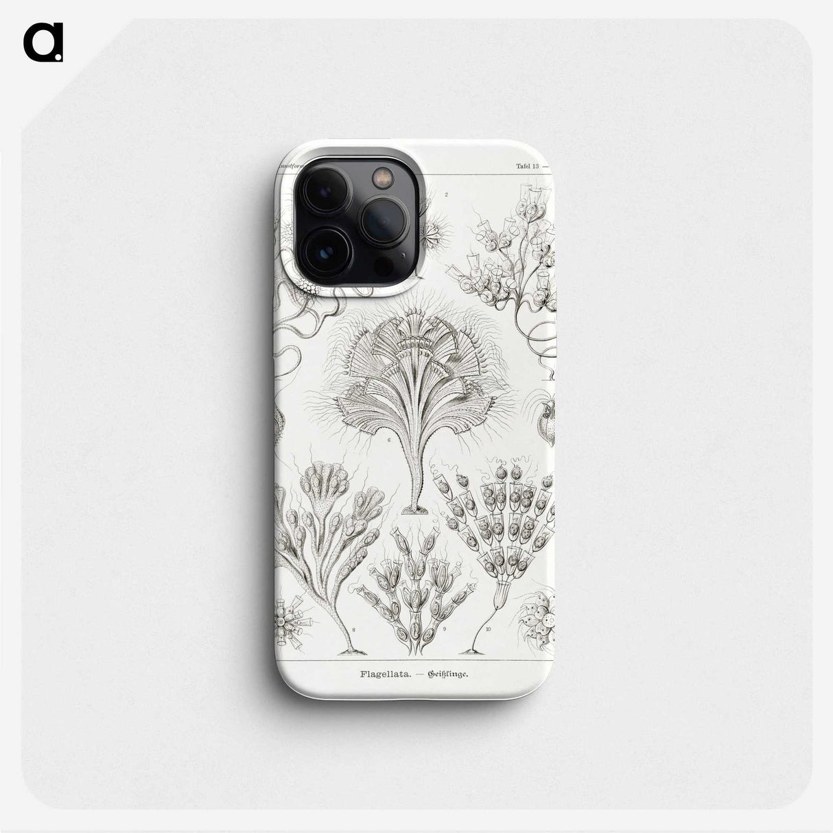 3-10_Ernst-Haeckel_phone