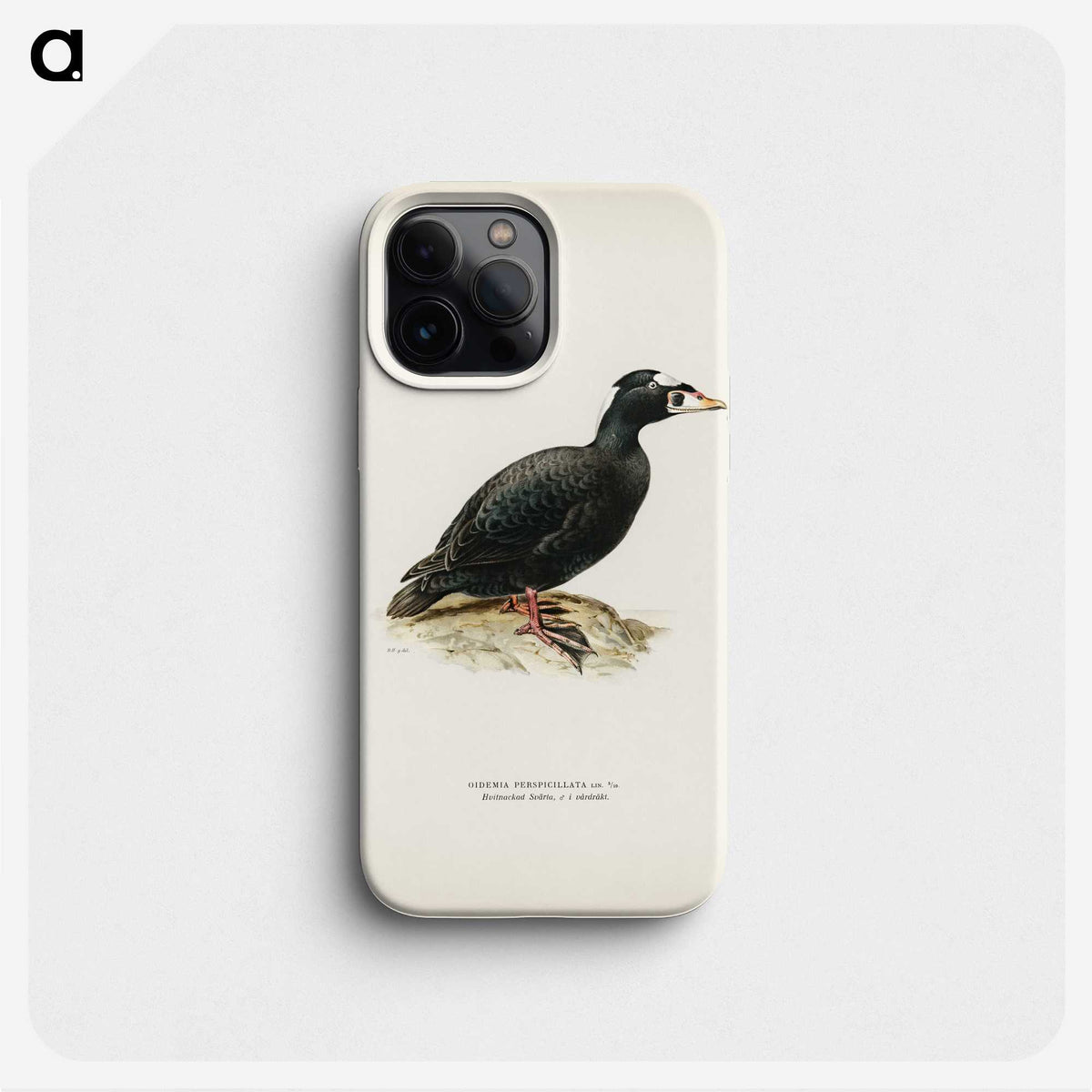 3-10_Magnus-von-Wright_phone