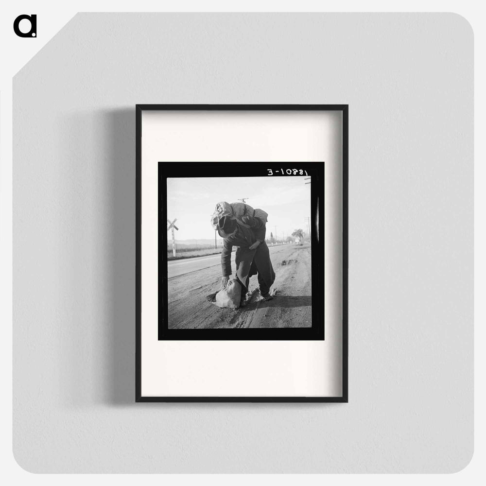 Untitled photo - Dorothea Lange Poster.