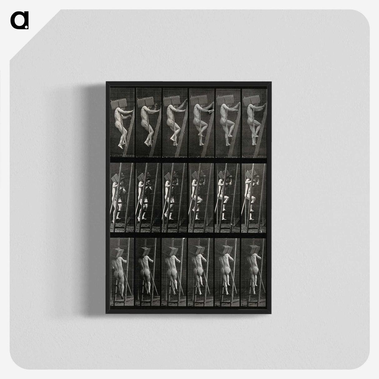 3-11_Eadweard-Muybridge_blk-crop