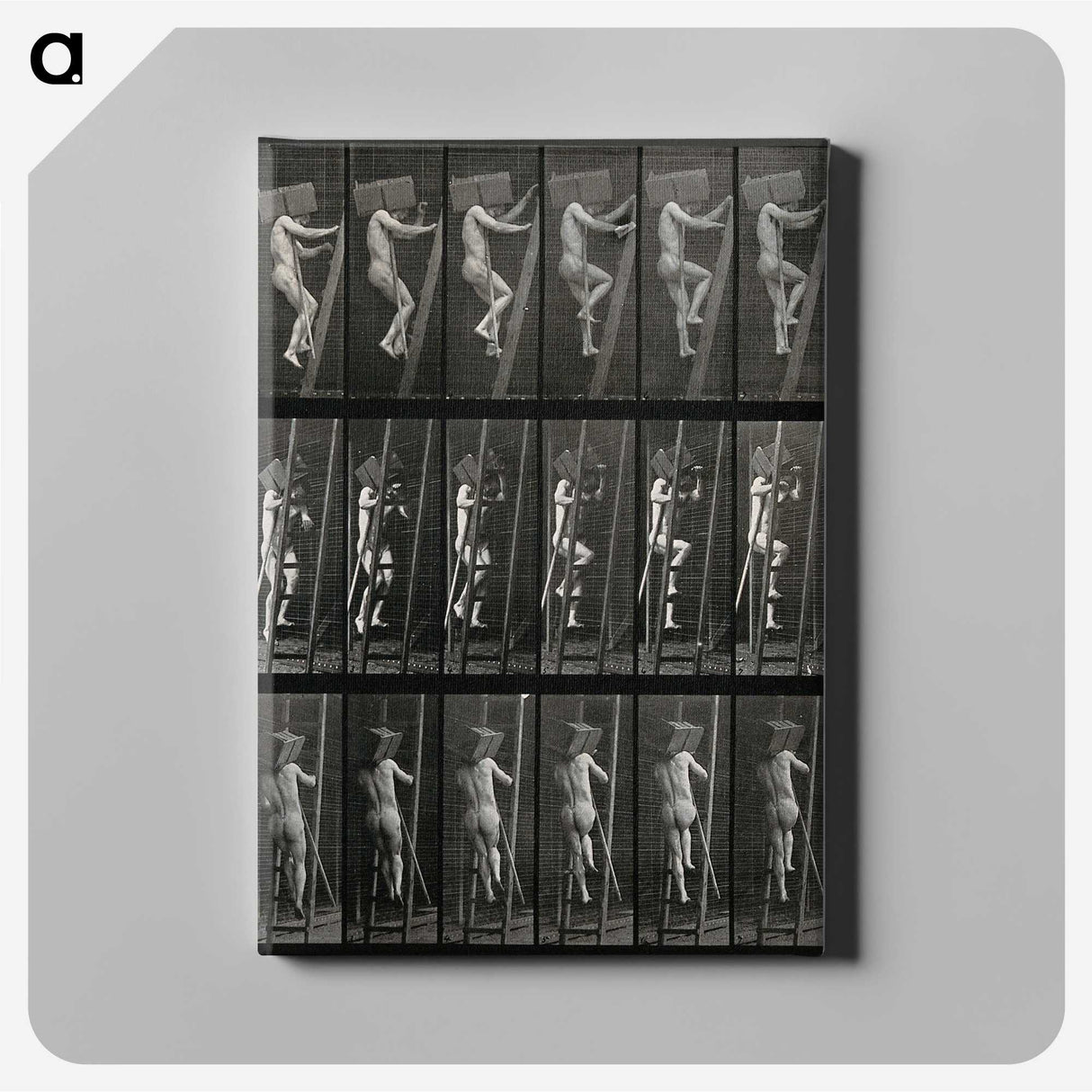 3-11_Eadweard-Muybridge_canvas