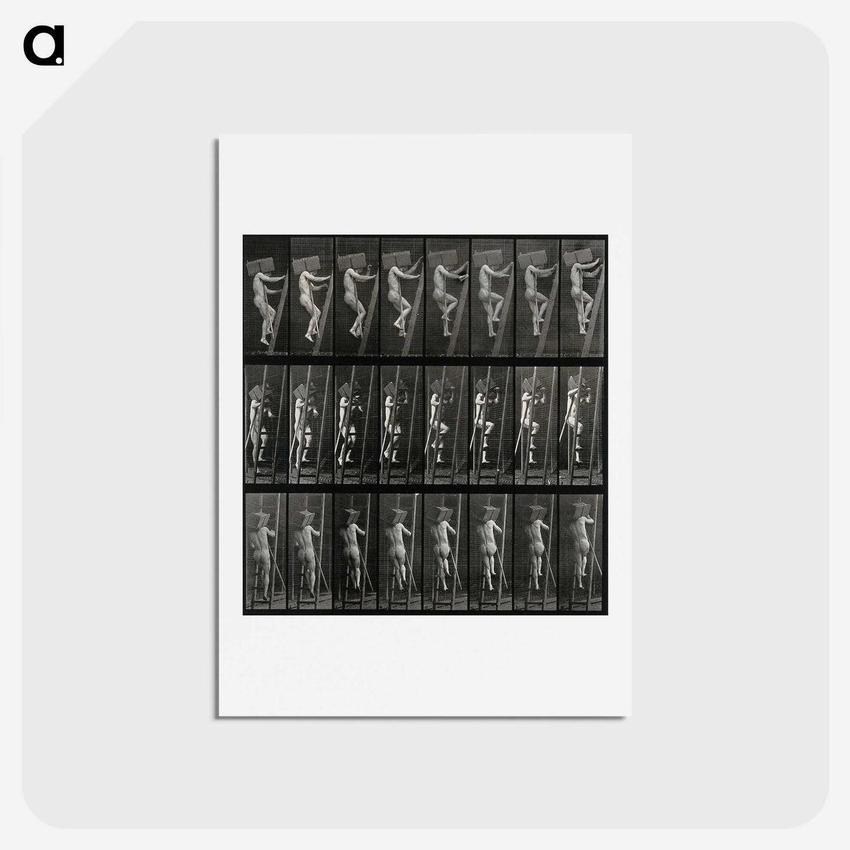 3-11_Eadweard-Muybridge_hagaki