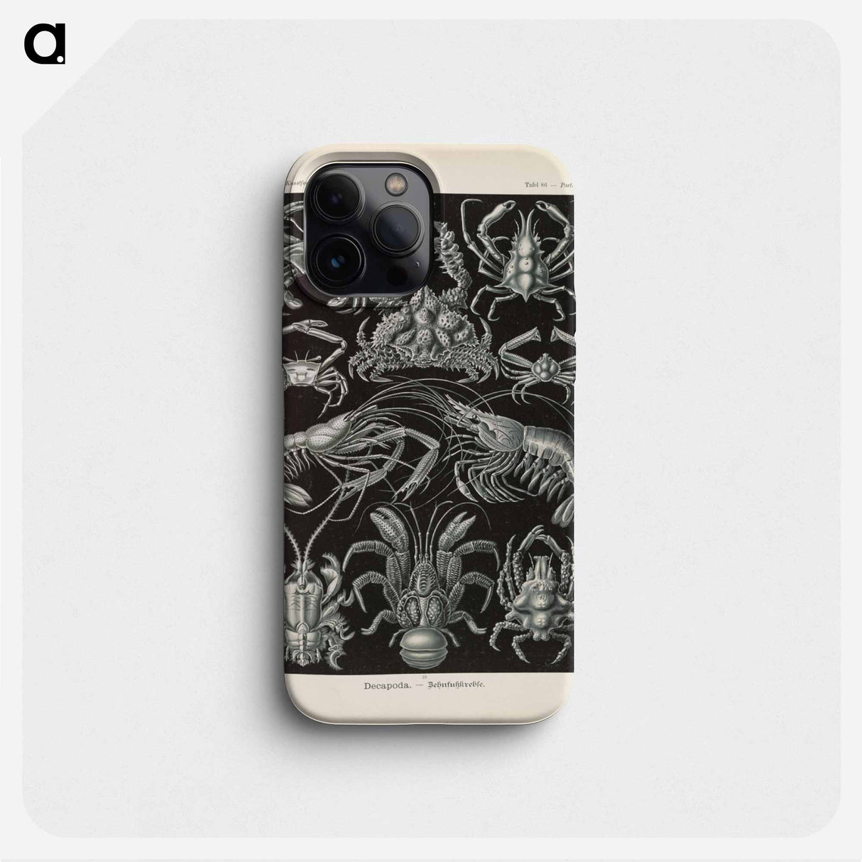 Marine life illustration - エルンスト ヘッケル Phone Case.