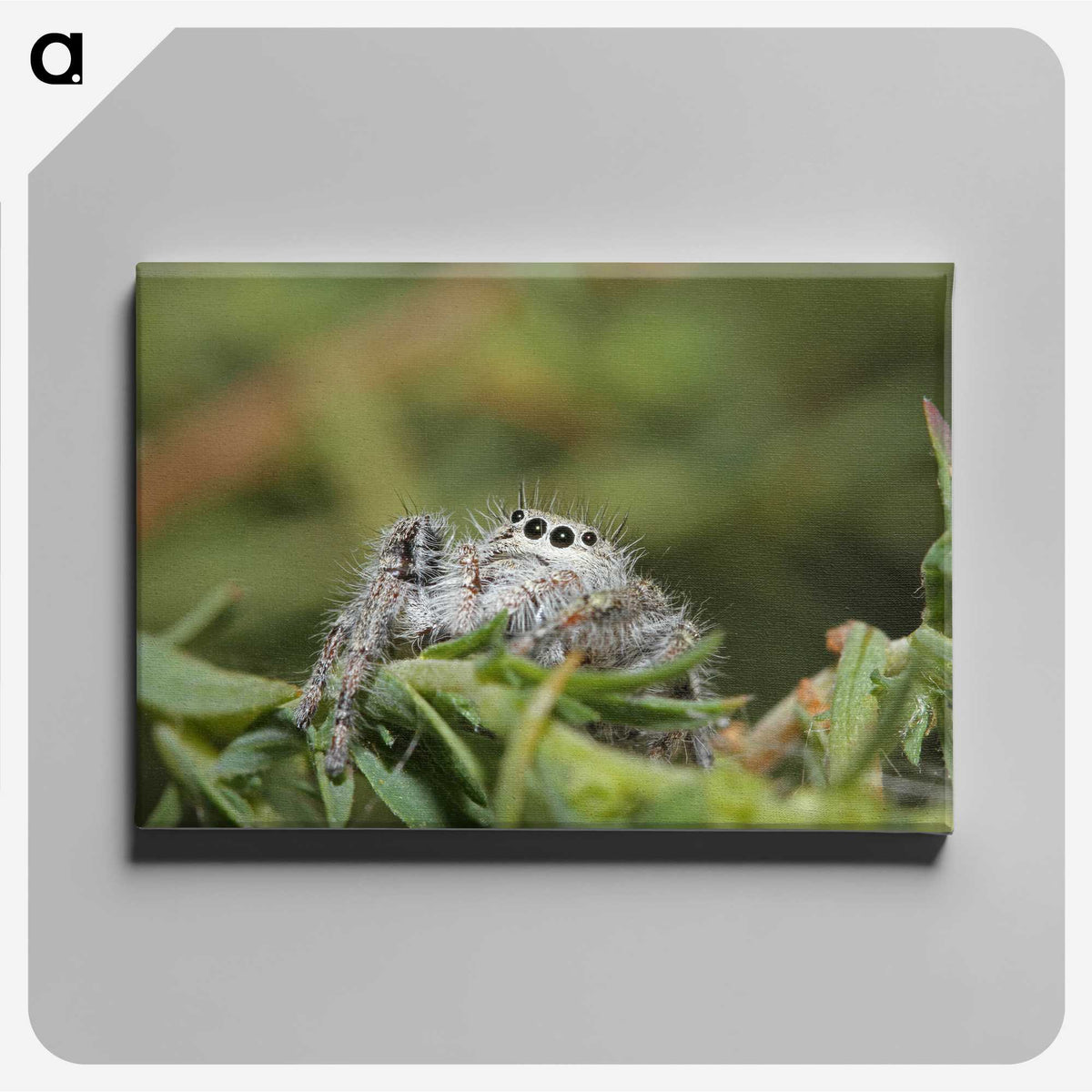 3-11_Insects-Unlocked-Project_canvas