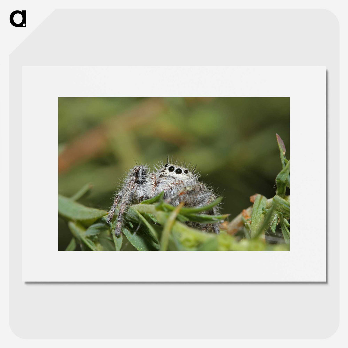 3-11_Insects-Unlocked-Project_picture