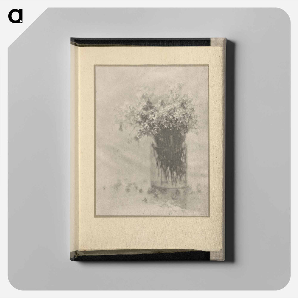 Still Life - アルフレッド スティーグリッツ Canvas.
