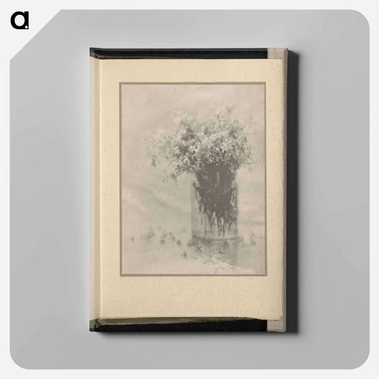 Still Life - アルフレッド スティーグリッツ Canvas.