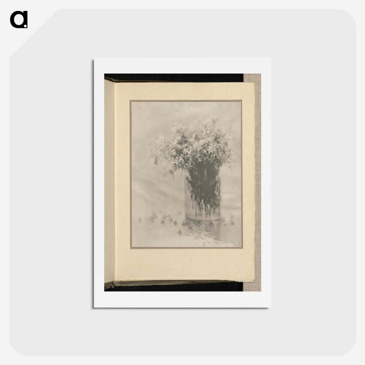 3-12_Alfred-Stieglitz_hagaki