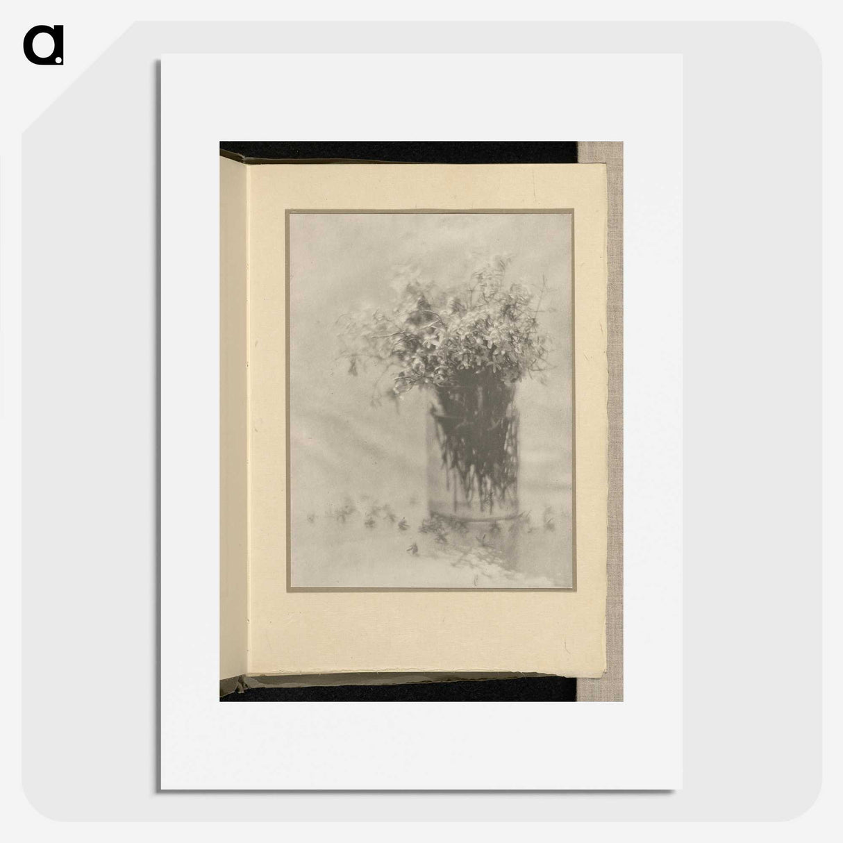 3-12_Alfred-Stieglitz_picture