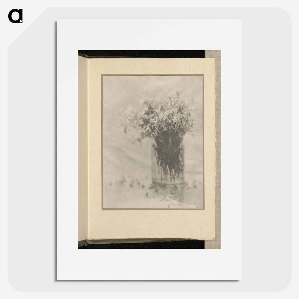 Still Life - アルフレッド スティーグリッツ Poster.