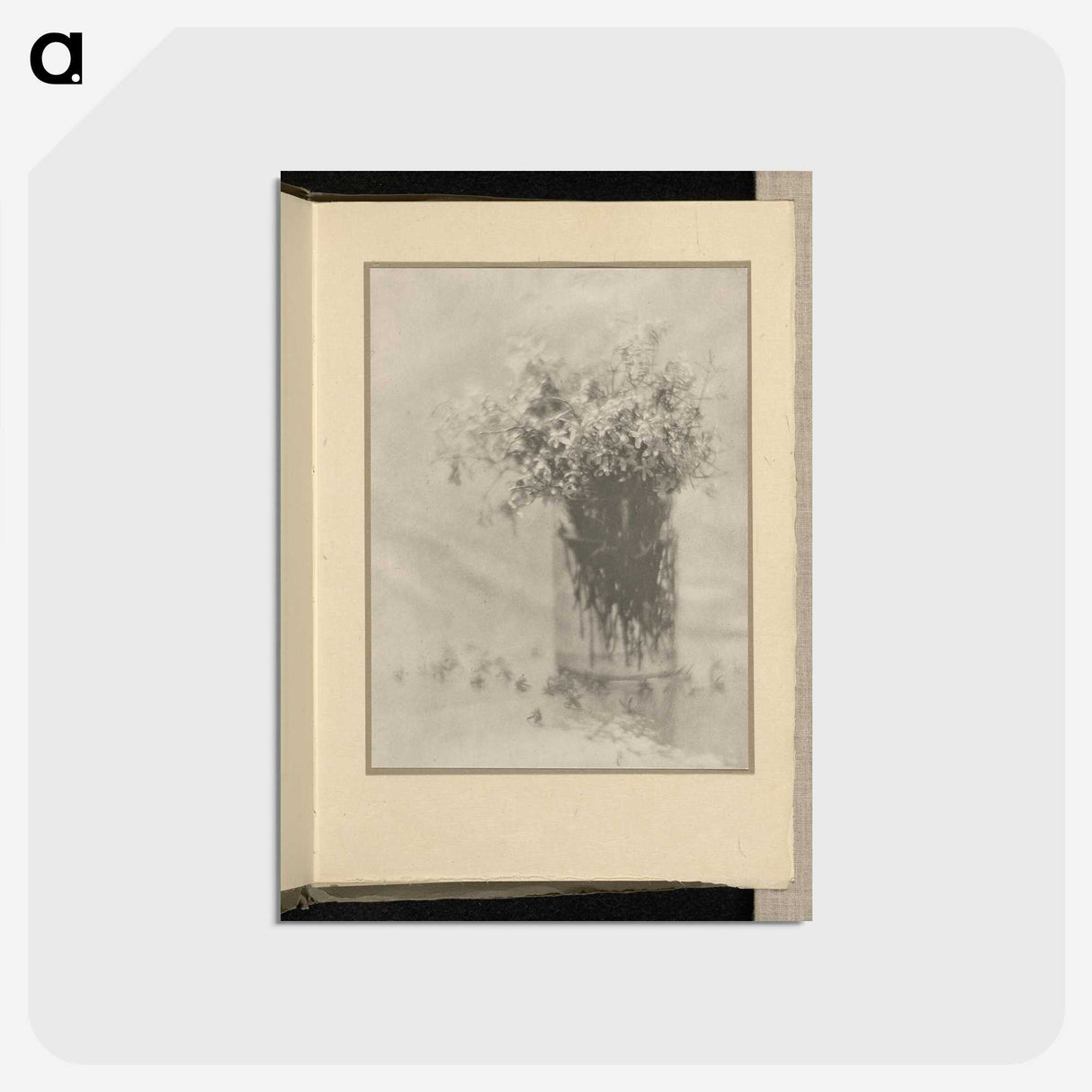 3-12_Alfred-Stieglitz_postcard