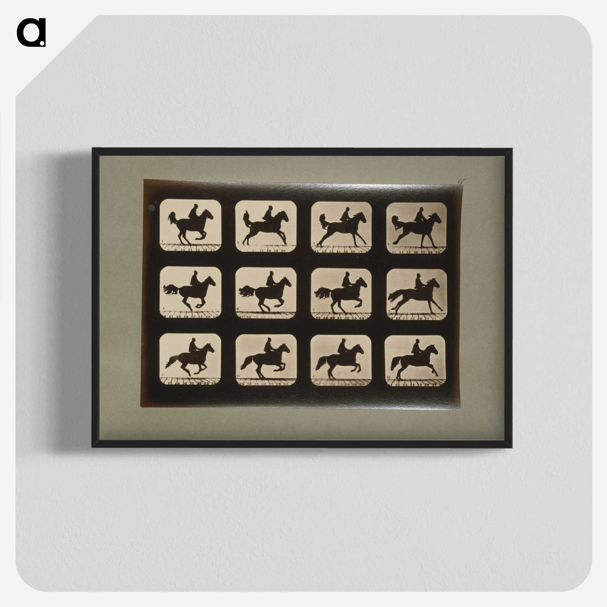 3-12_Eadweard-Muybridge_blk-crop