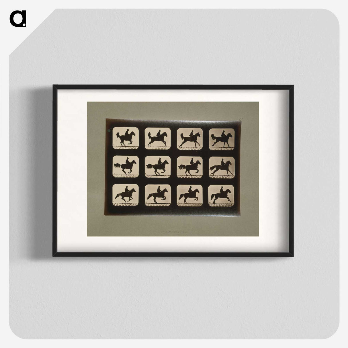 3-12_Eadweard-Muybridge_blk