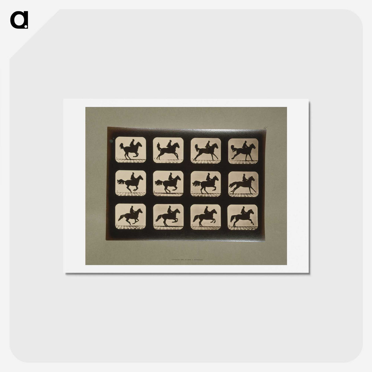 3-12_Eadweard-Muybridge_hagaki