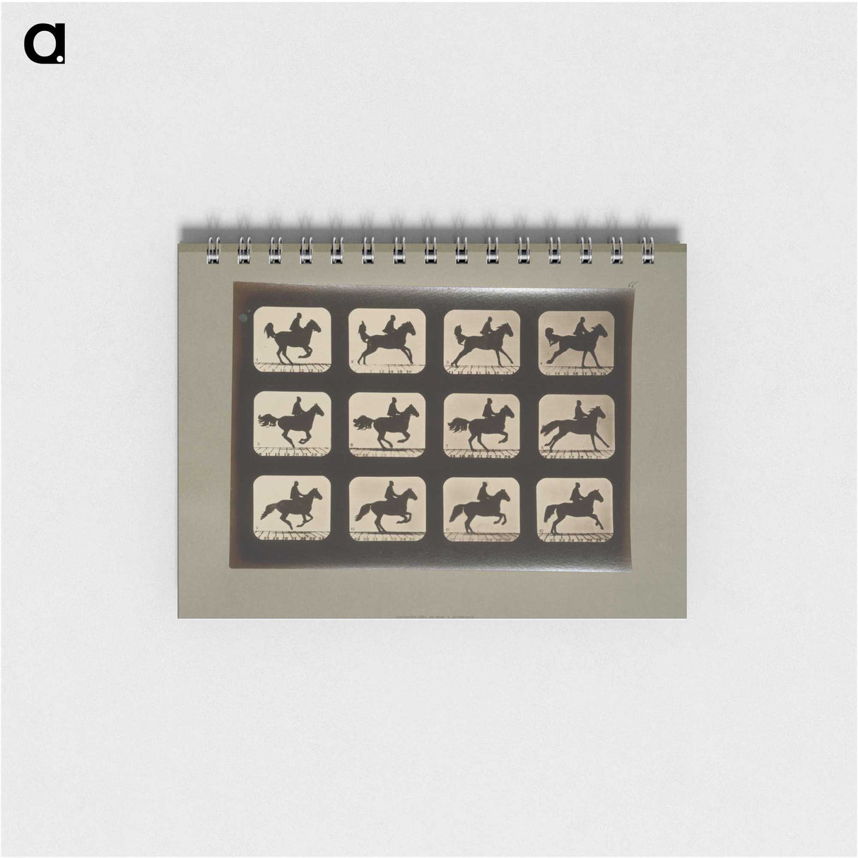 3-12_Eadweard-Muybridge_memo