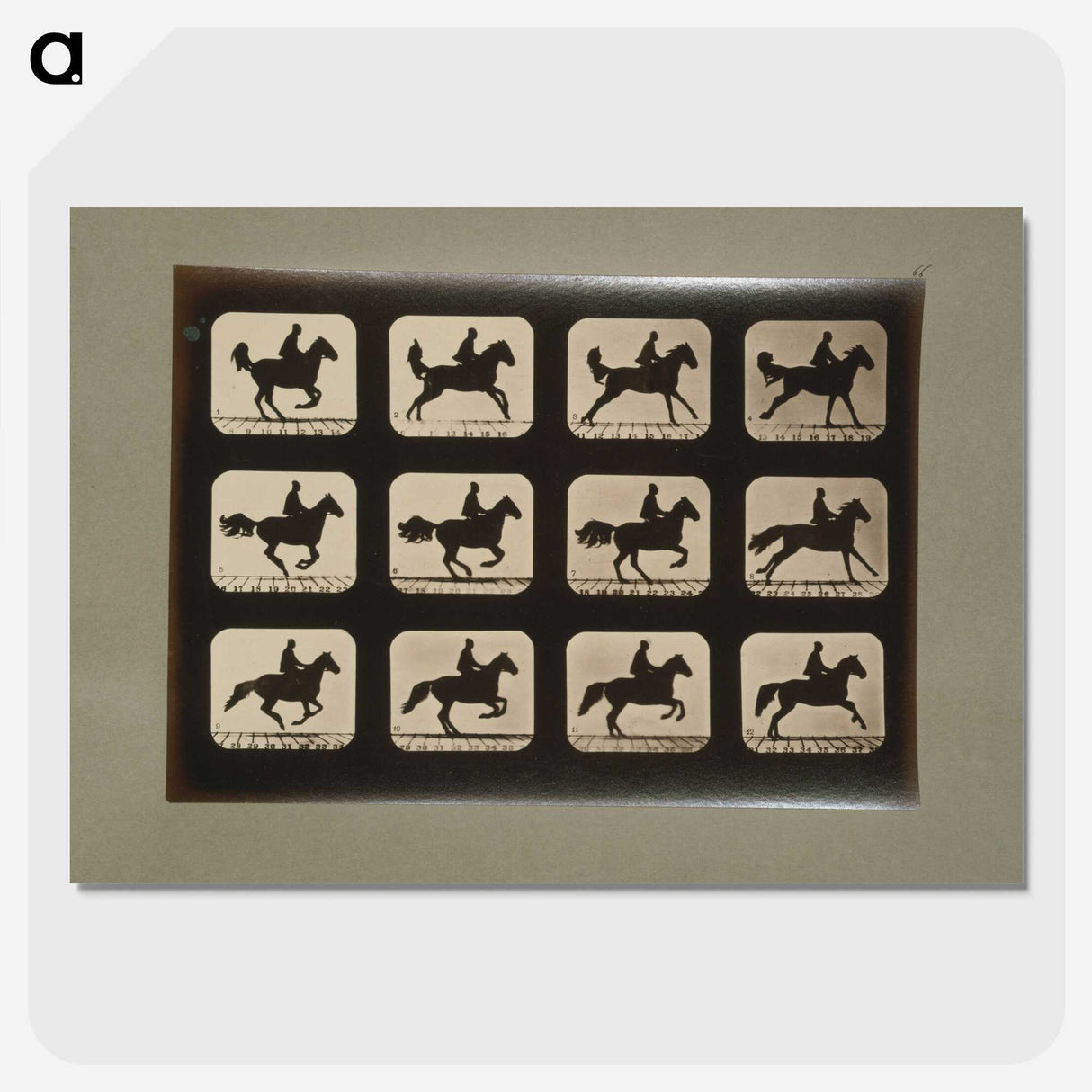 3-12_Eadweard-Muybridge_picture-crop