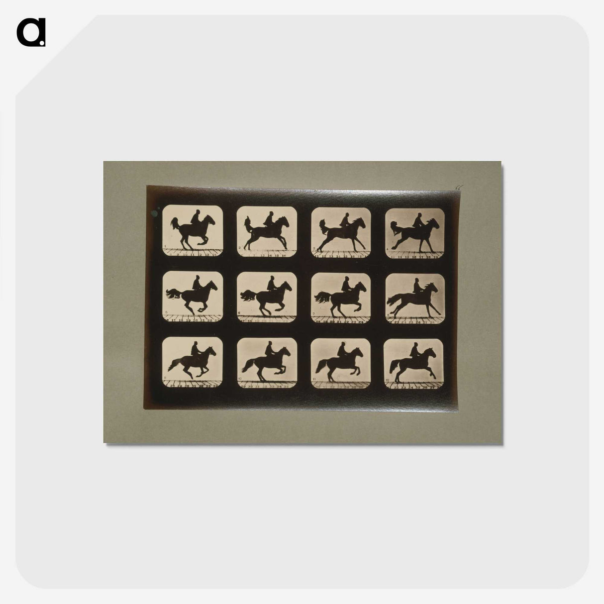 3-12_Eadweard-Muybridge_postcard