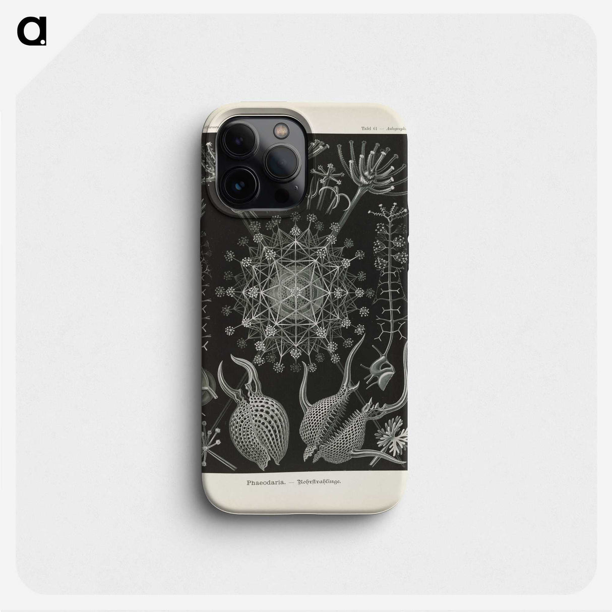 3-12_Ernst-Haeckel_phone