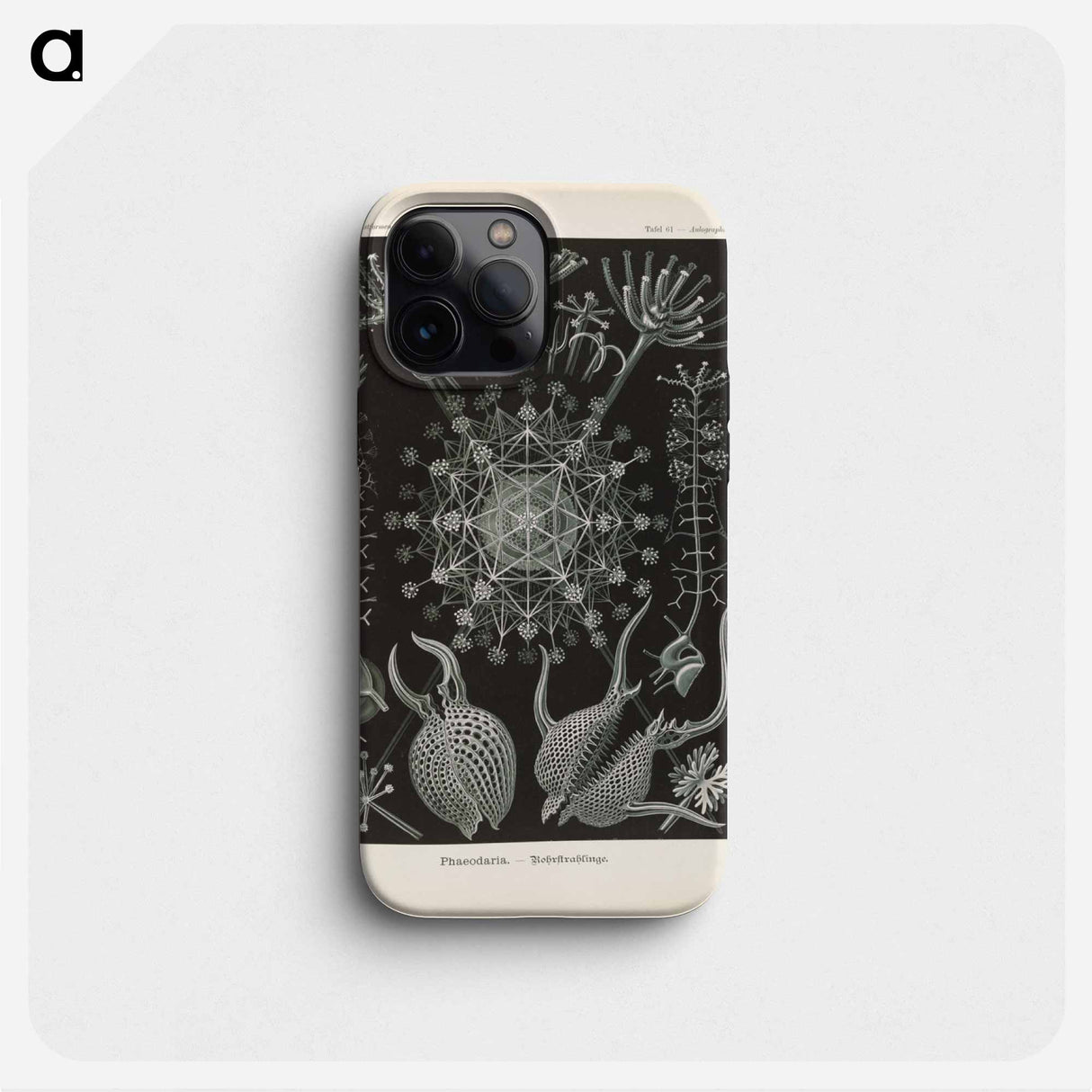 Marine life illustration - エルンスト ヘッケル Phone Case.
