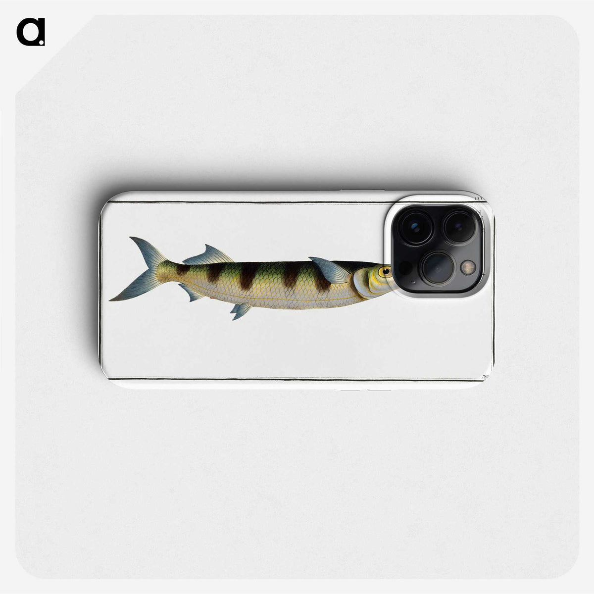 3-12_Ichtyologie-ou-Histoire-naturelle_phone