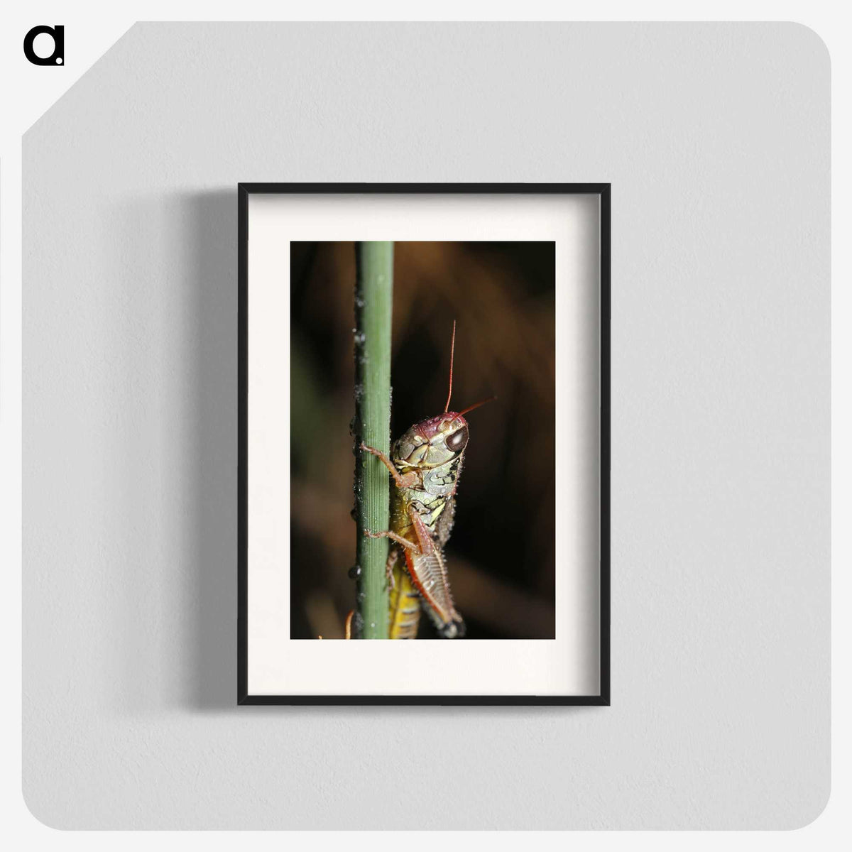 3-12_Insects-Unlocked-Project_blk