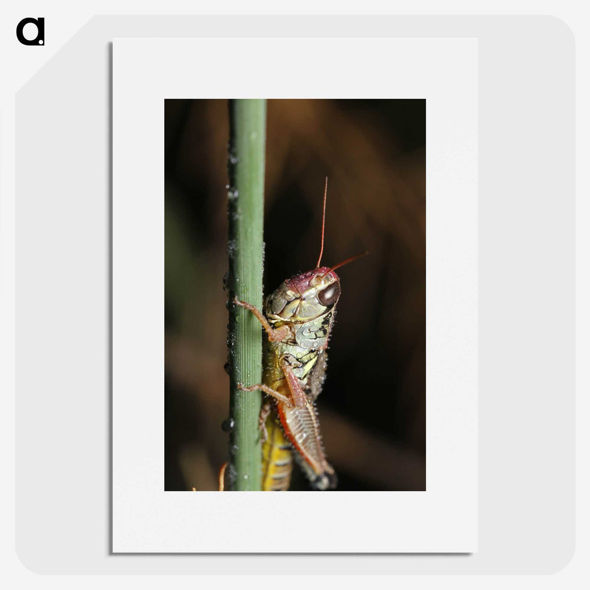 3-12_Insects-Unlocked-Project_picture