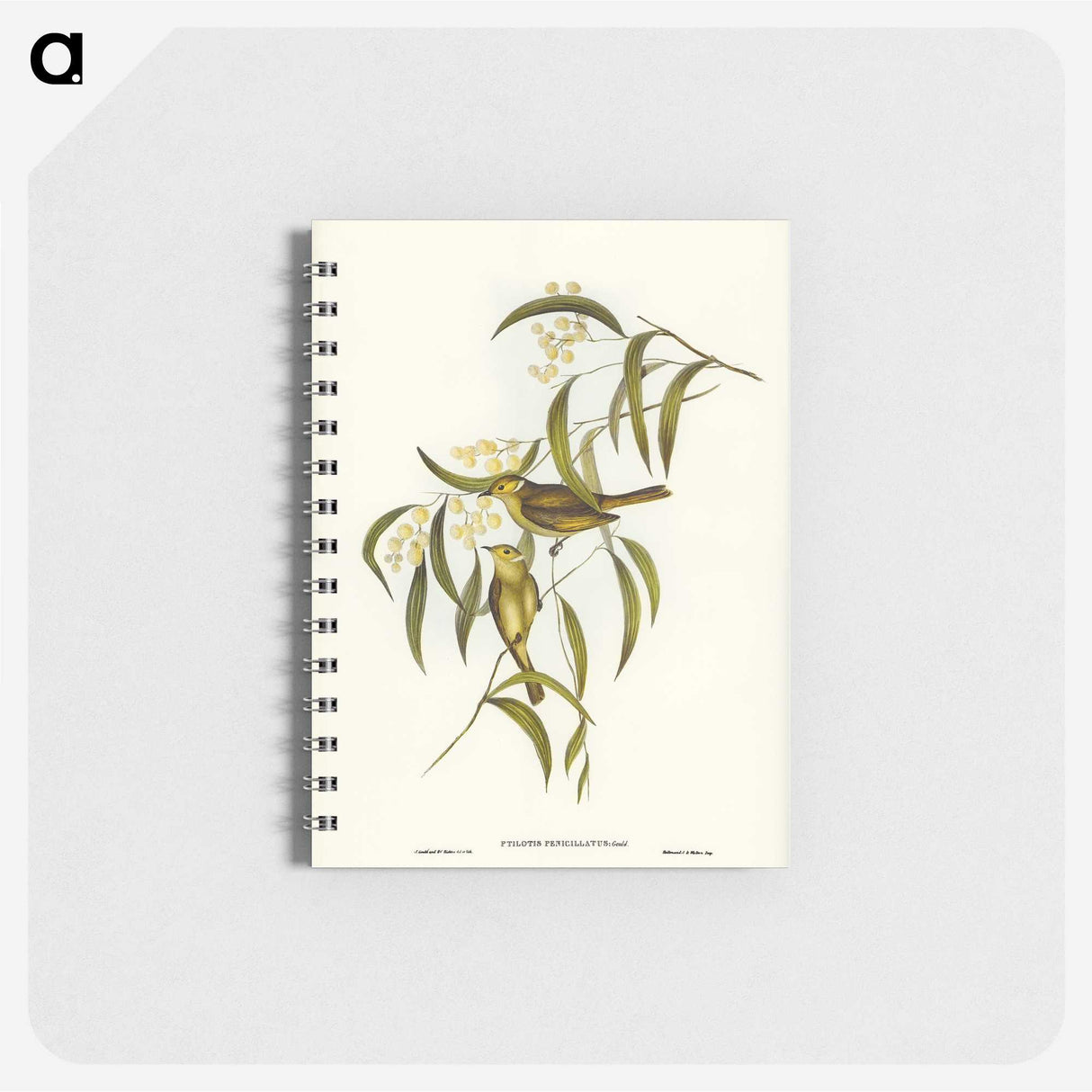 3-12_John-Gould_memo