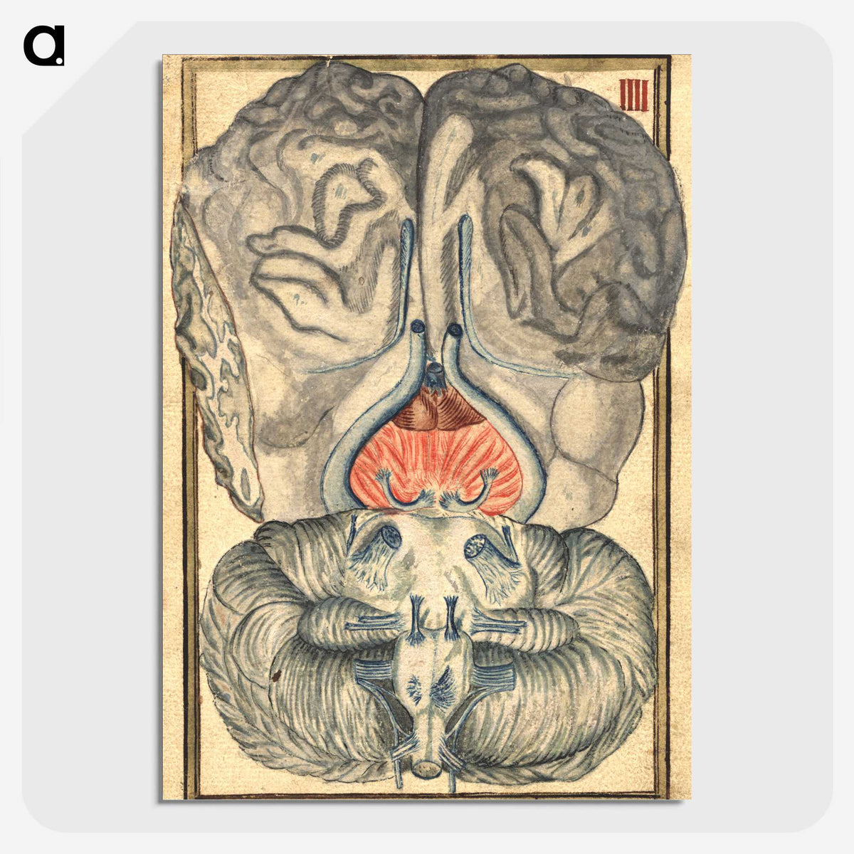 3-12_National-Library-of-Medicine_picture-crop