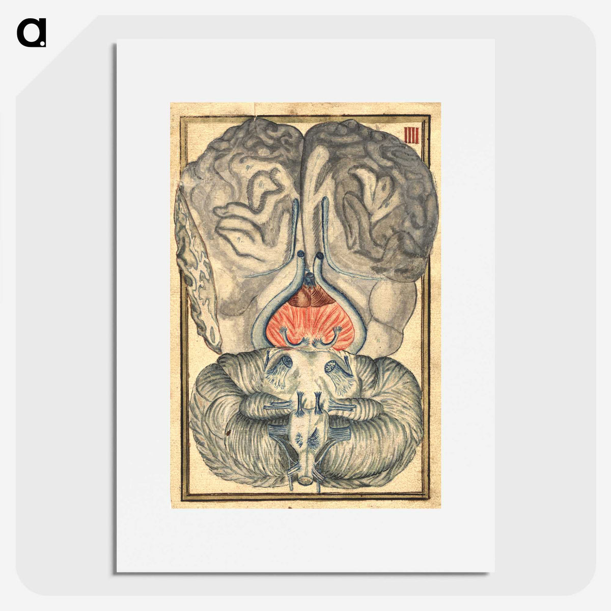 3-12_National-Library-of-Medicine_picture