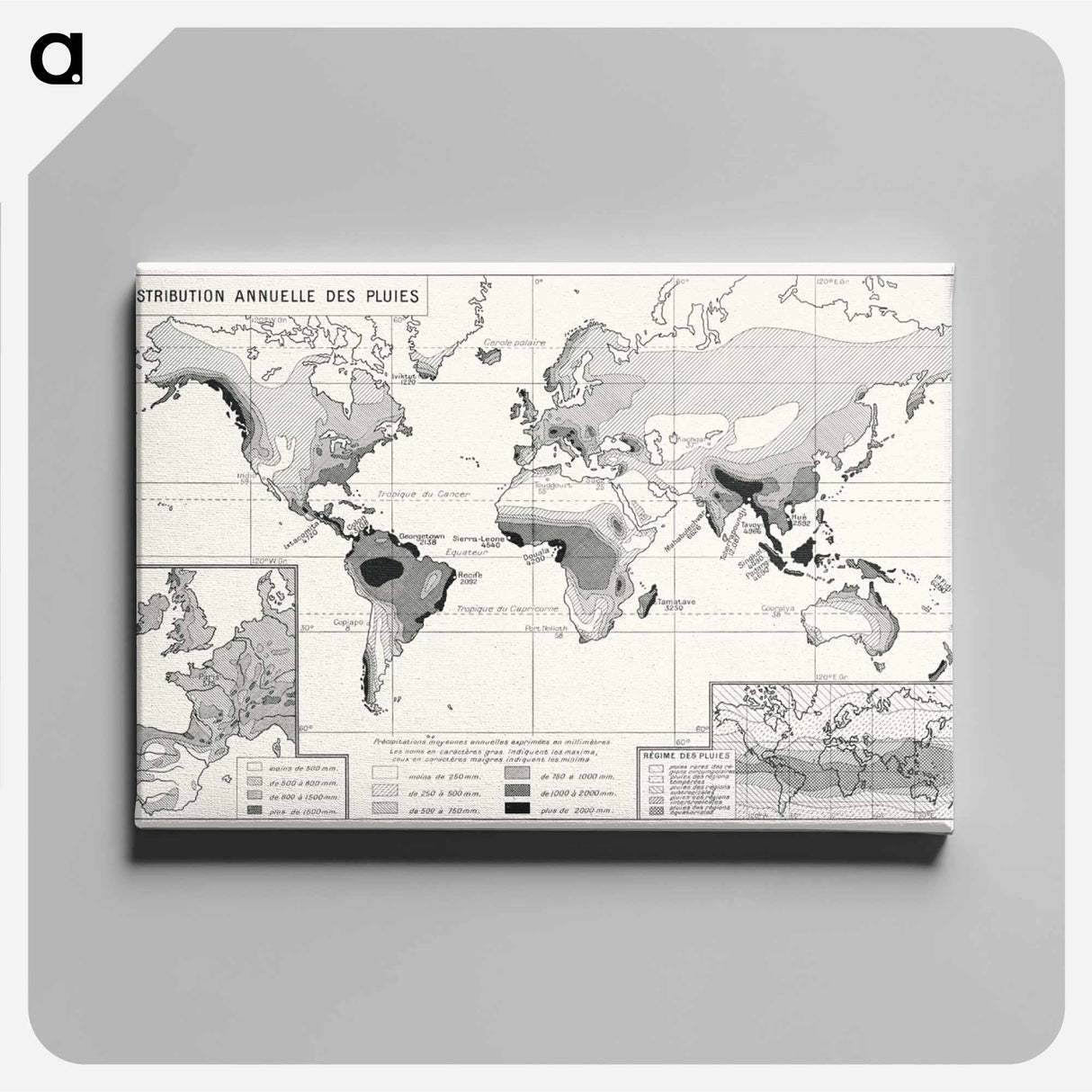 Annual Rainfall Distribution - アンティーク地図 Canvas.