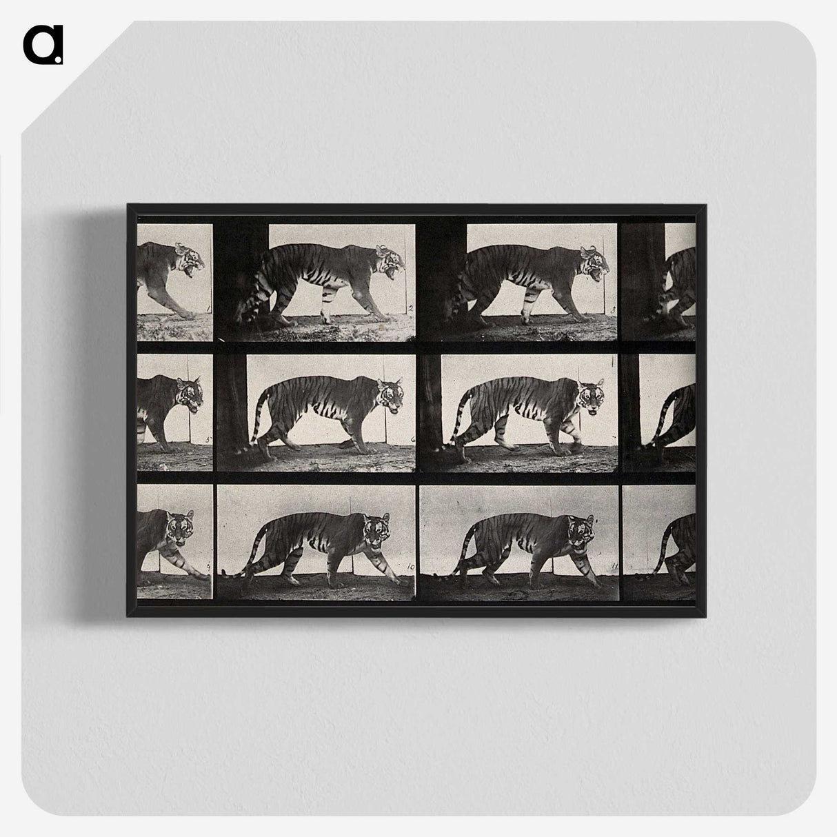 3-13_Eadweard-Muybridge_blk-crop
