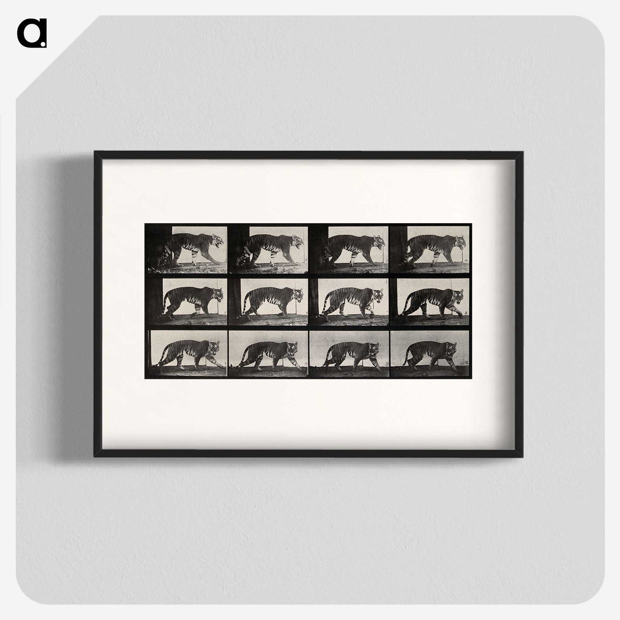 3-13_Eadweard-Muybridge_blk