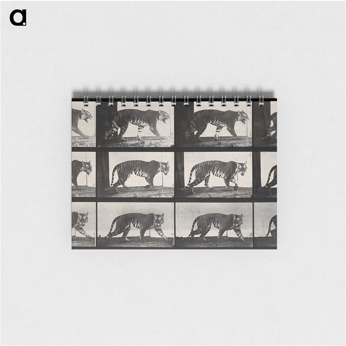 3-13_Eadweard-Muybridge_memo
