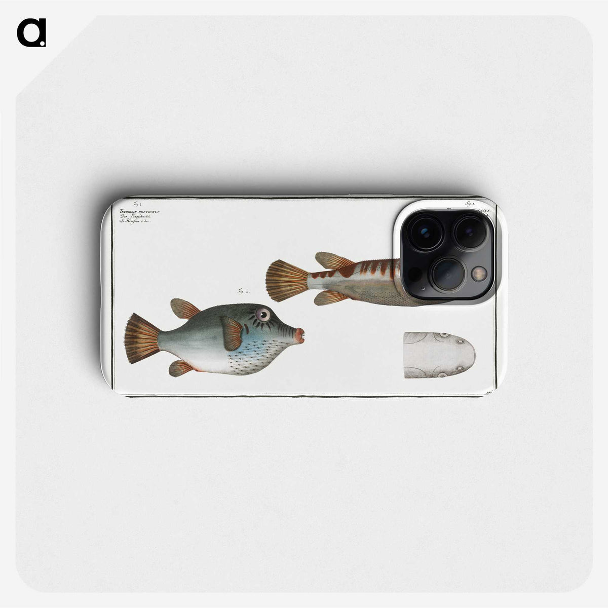 3-13_Ichtyologie-ou-Histoire-naturelle_phone