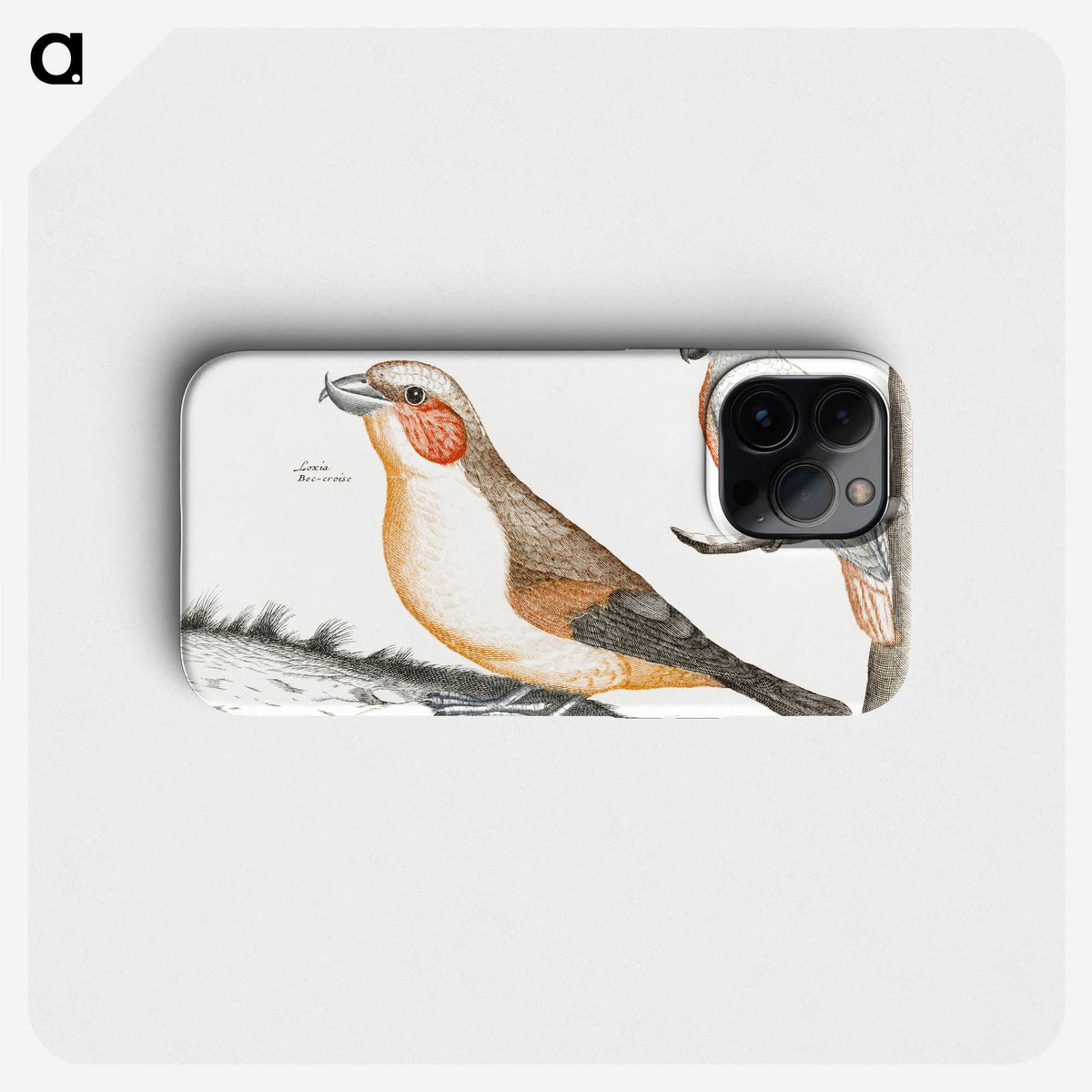 3-13_Johan-Teyler_phone