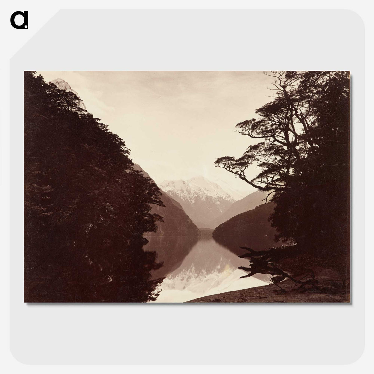 3-13_The-Burton-Brothers_picture-crop