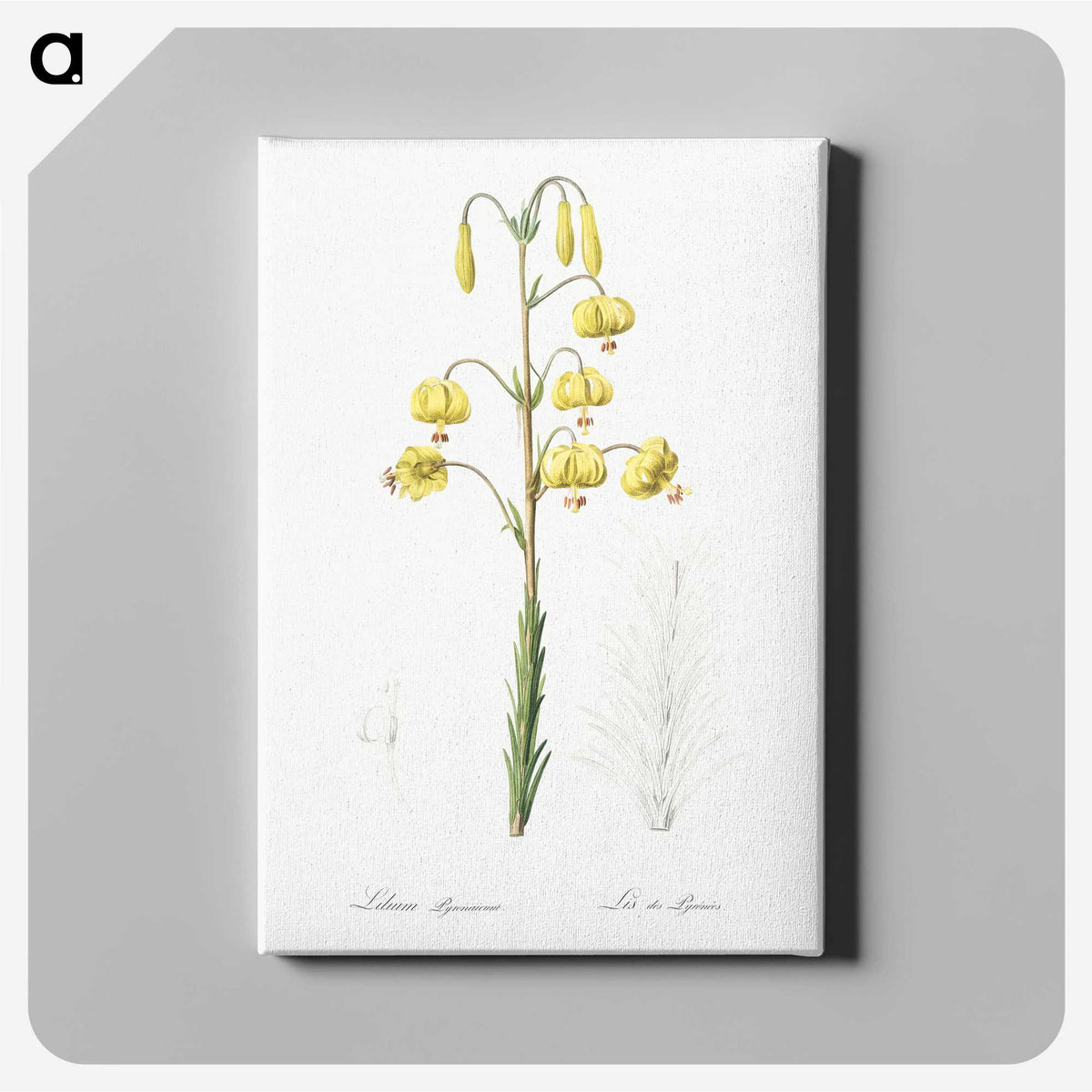 3-13_The-Lilies_canvas