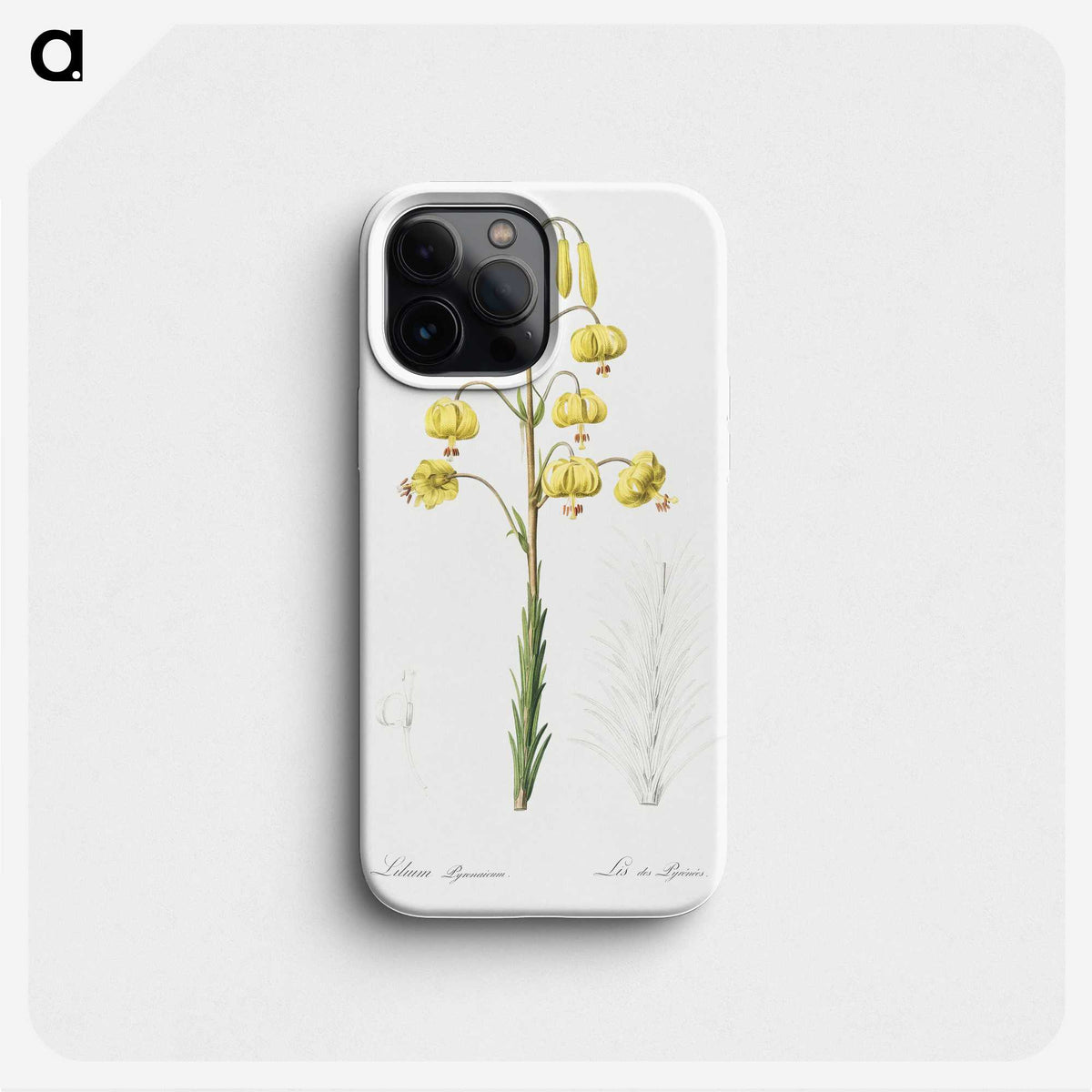 3-13_The-Lilies_phone