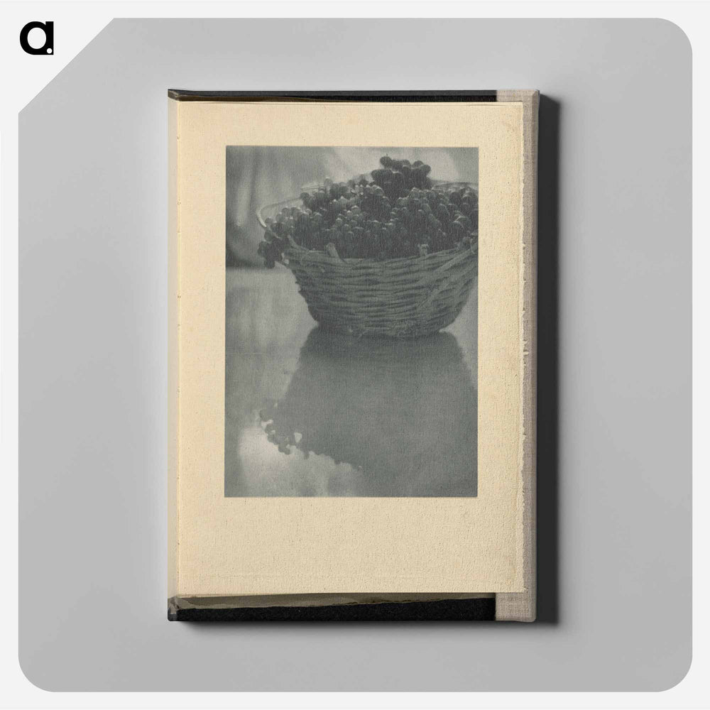Still Life - アルフレッド スティーグリッツ Canvas.
