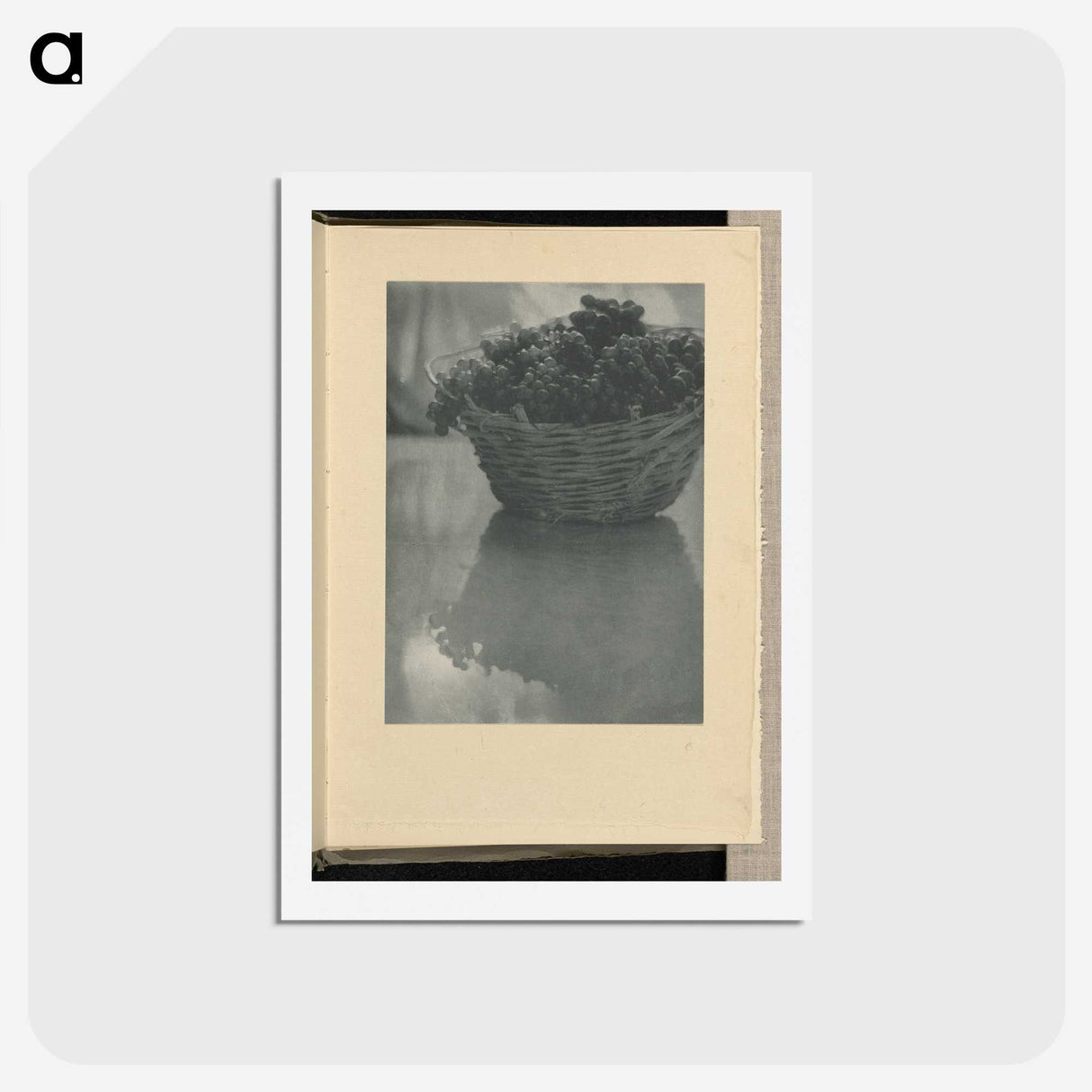 3-14_Alfred-Stieglitz_hagaki