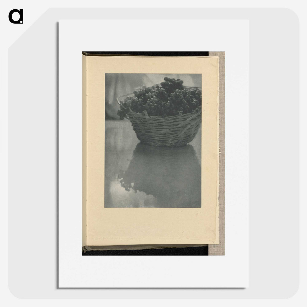 3-14_Alfred-Stieglitz_picture