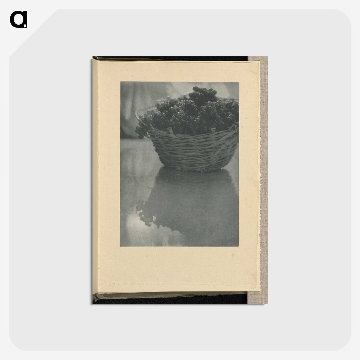 3-14_Alfred-Stieglitz_postcard